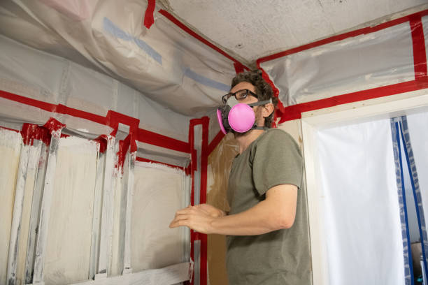 Trusted Brilliant, OH Mold Inspection, Removal & Remediation Experts